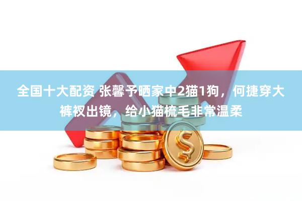 全国十大配资 张馨予晒家中2猫1狗，何捷穿大裤衩出镜，给小猫梳毛非常温柔